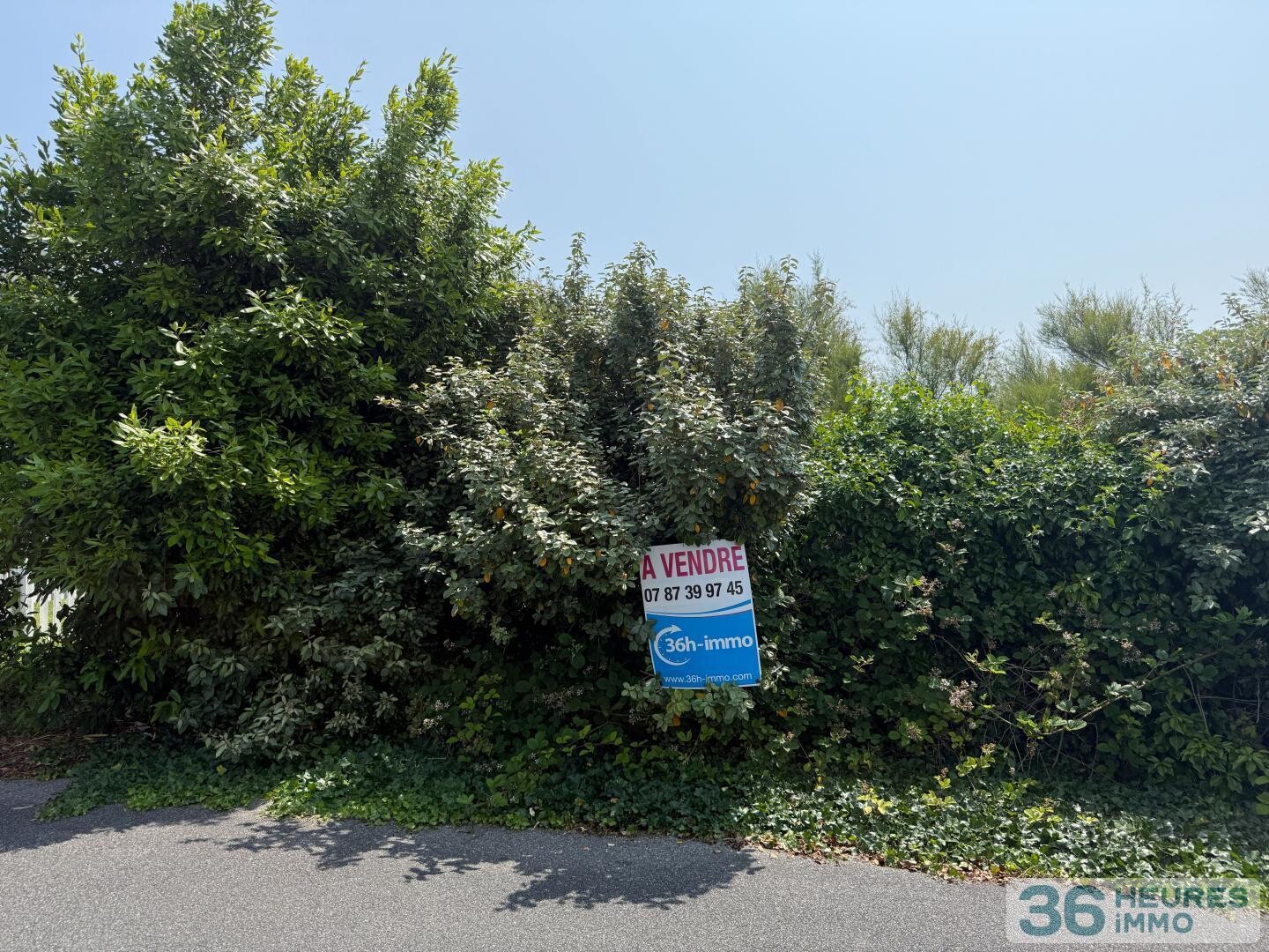 terrain constructible