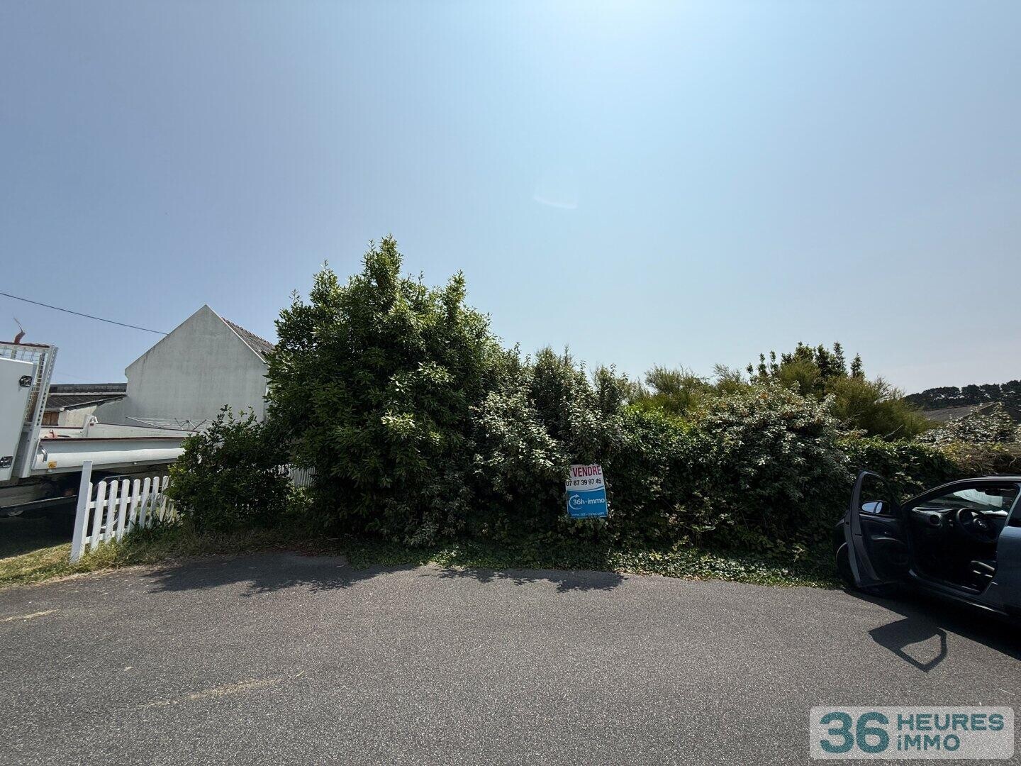 terrain constructible