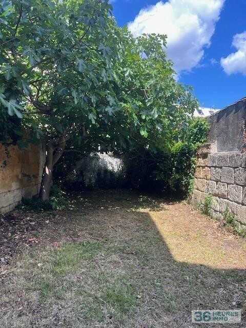 MAISON DE VILLE EN PIERRE AVEC JARDIN