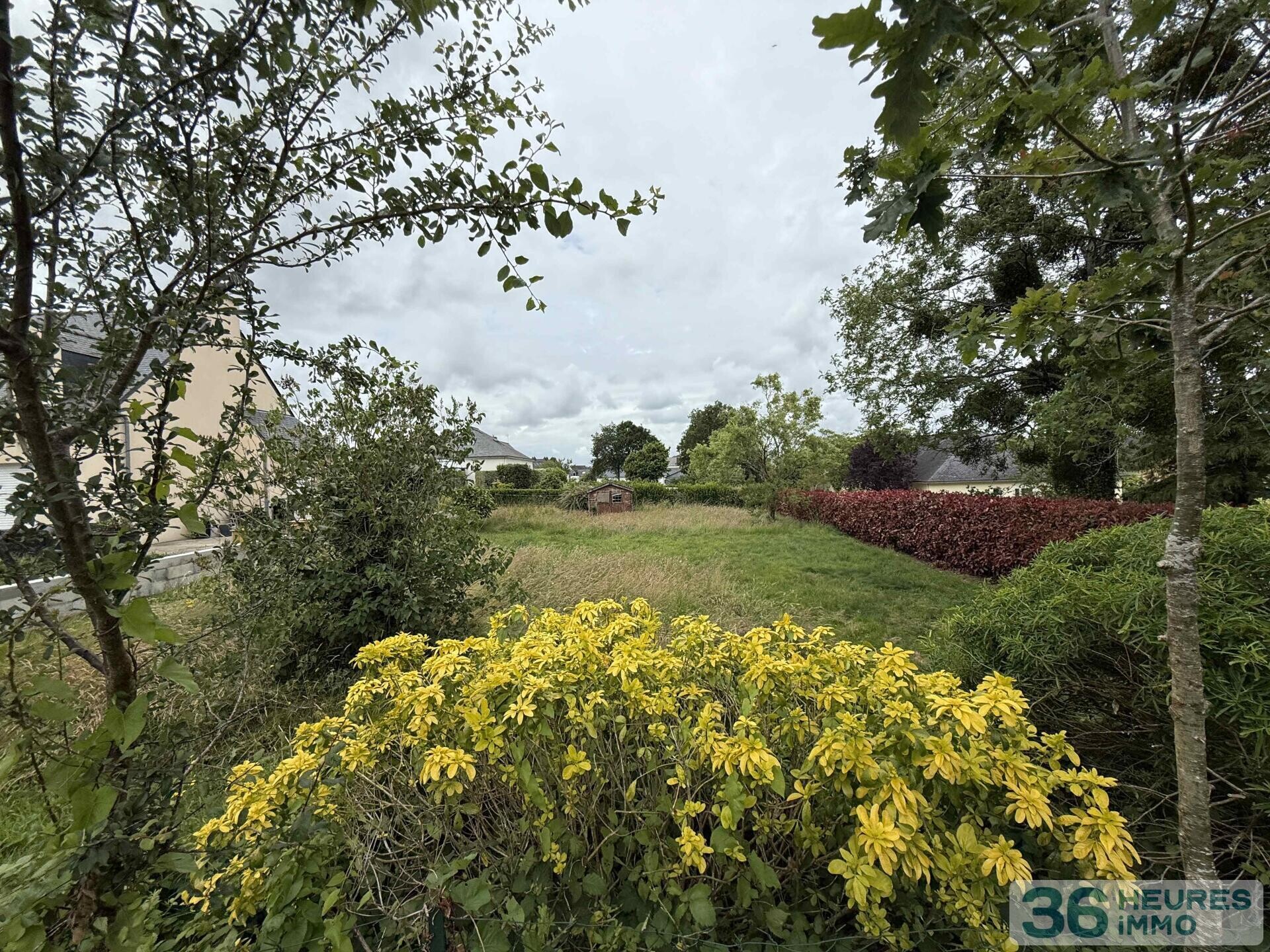 terrain constructible