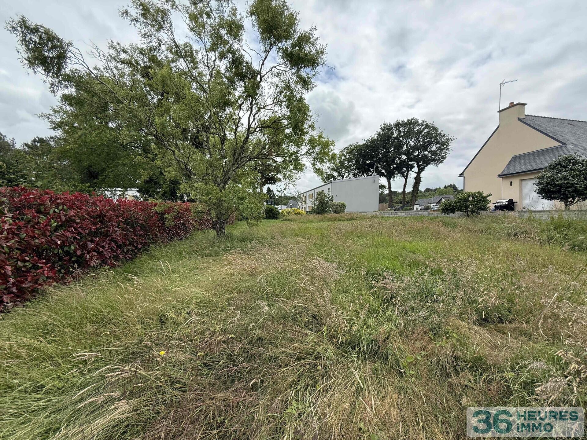 terrain constructible