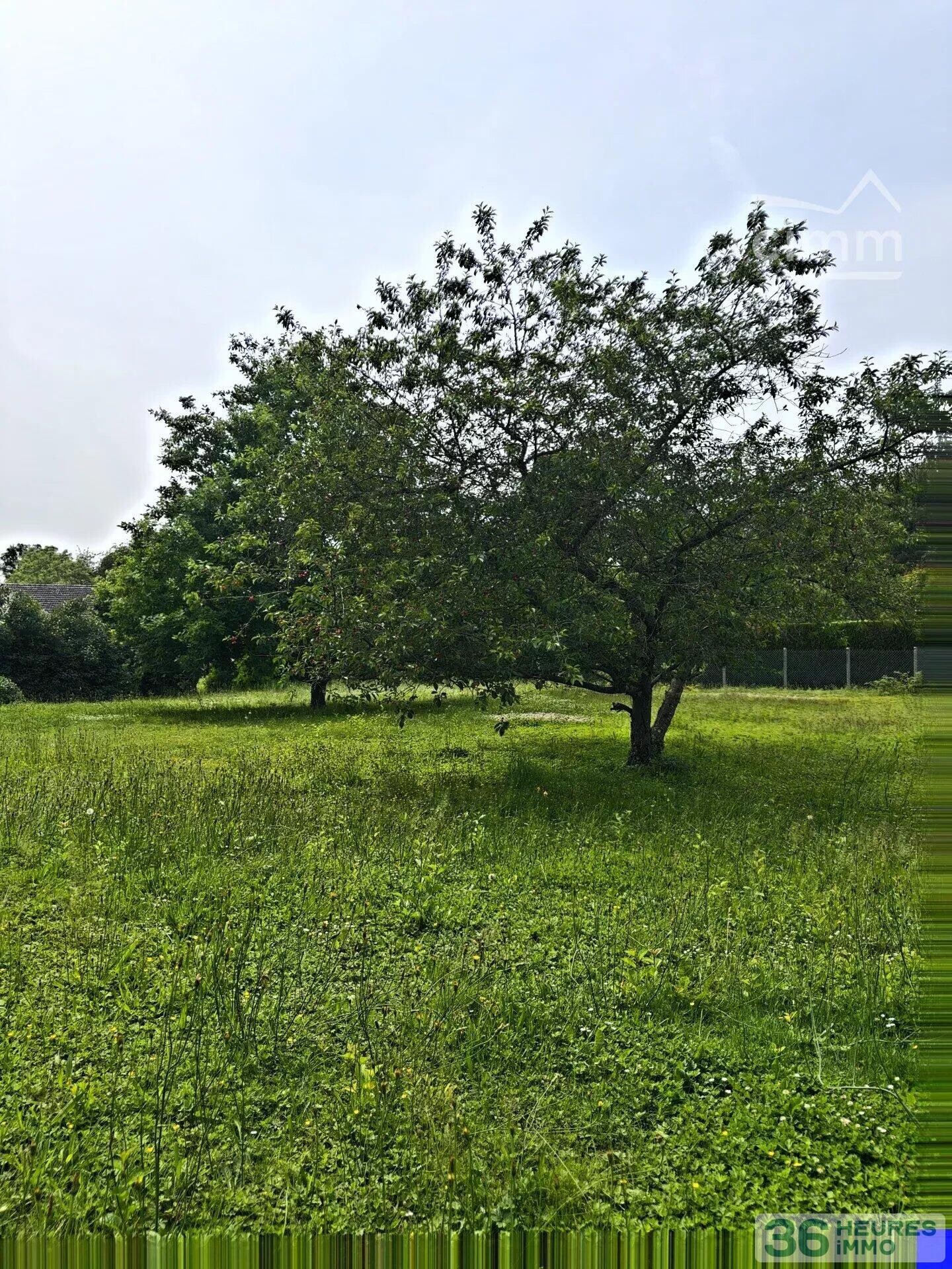 A VENDRE-PAVILLON(1984) 174m² SUR 2095m² DE TERRAIN-120 000€