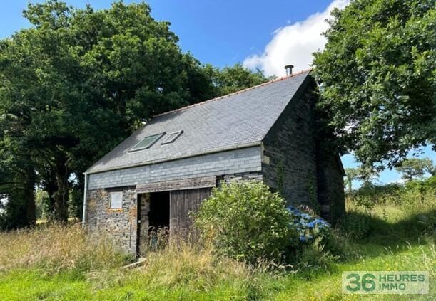 Maison lumineuse avec vue dégagée et hectare de terrain - proche Maël-Carhaix