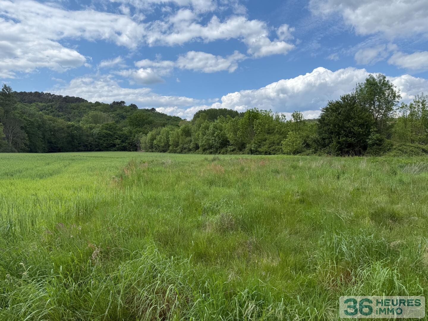 MAISON AVEC TERRAIN ARBORE