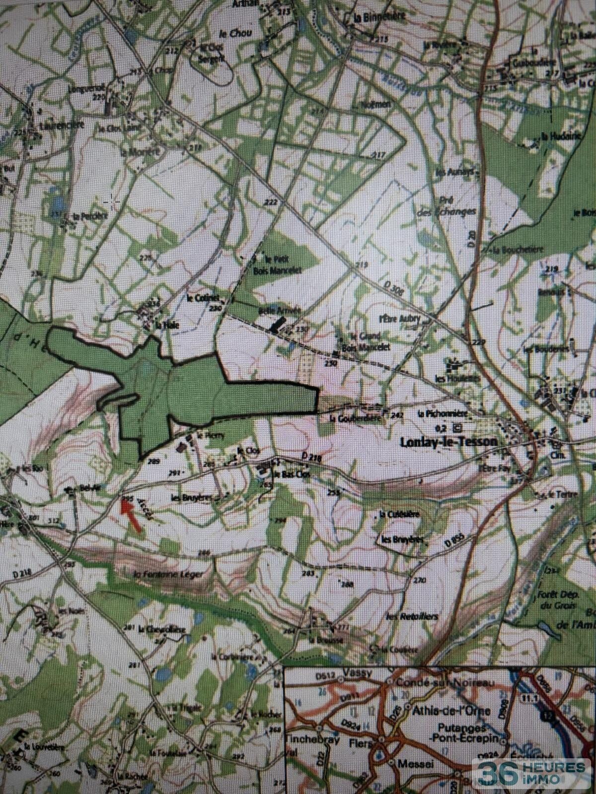 BOIS DU MONT D'HERE  SUR 51HA97A65CA  LE MENIL DE BRIOUZE 61 220 