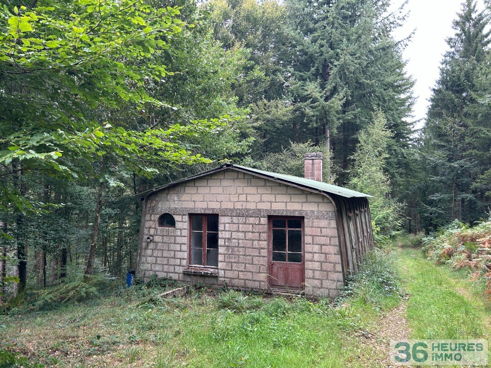 BOIS DU MONT D'HERE  SUR 51HA97A65CA  LE MENIL DE BRIOUZE 61 220 