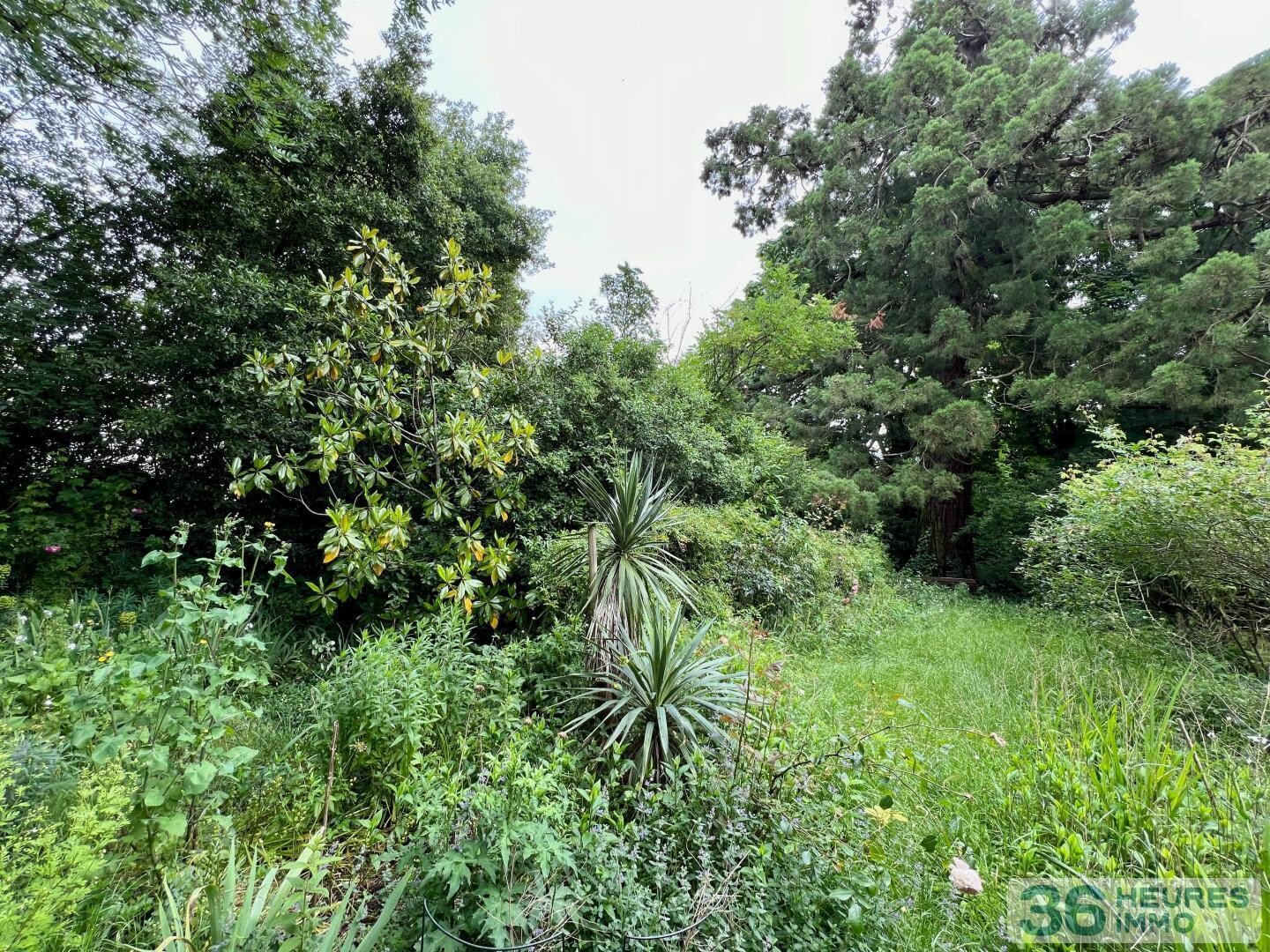 Belle maison ancienne avec terrain de 1400 m2
