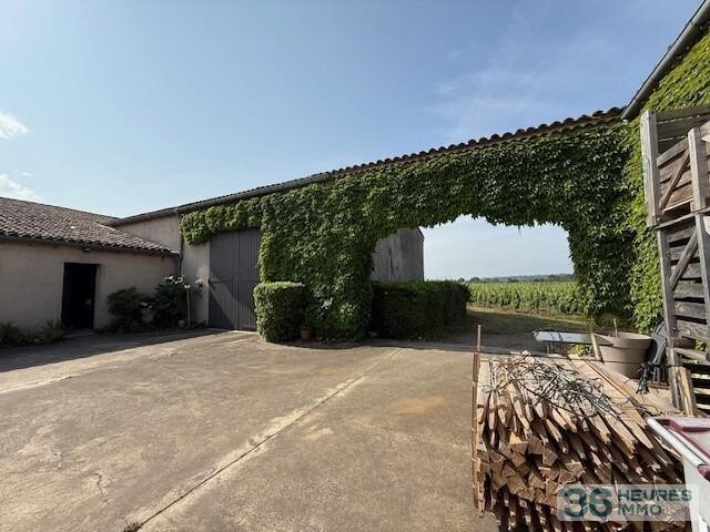 ST EMILION - Exploitation Viticole 26ha 16a 85ca