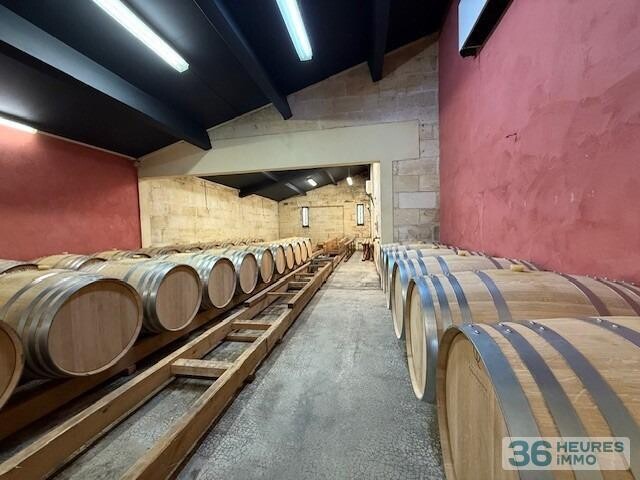 ST EMILION - Exploitation Viticole 26ha 16a 85ca