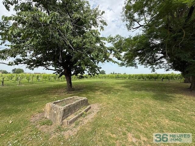 ST EMILION - Exploitation Viticole 26ha 16a 85ca