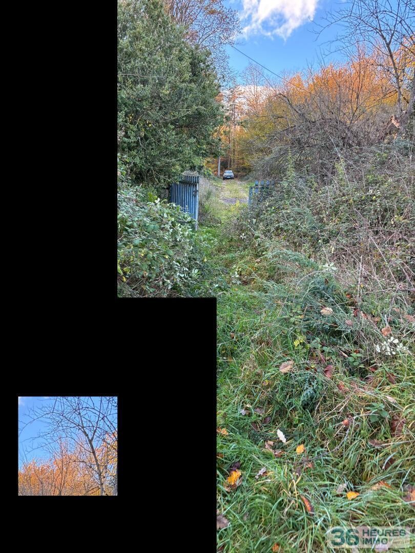 Maison Forestière Meilliers