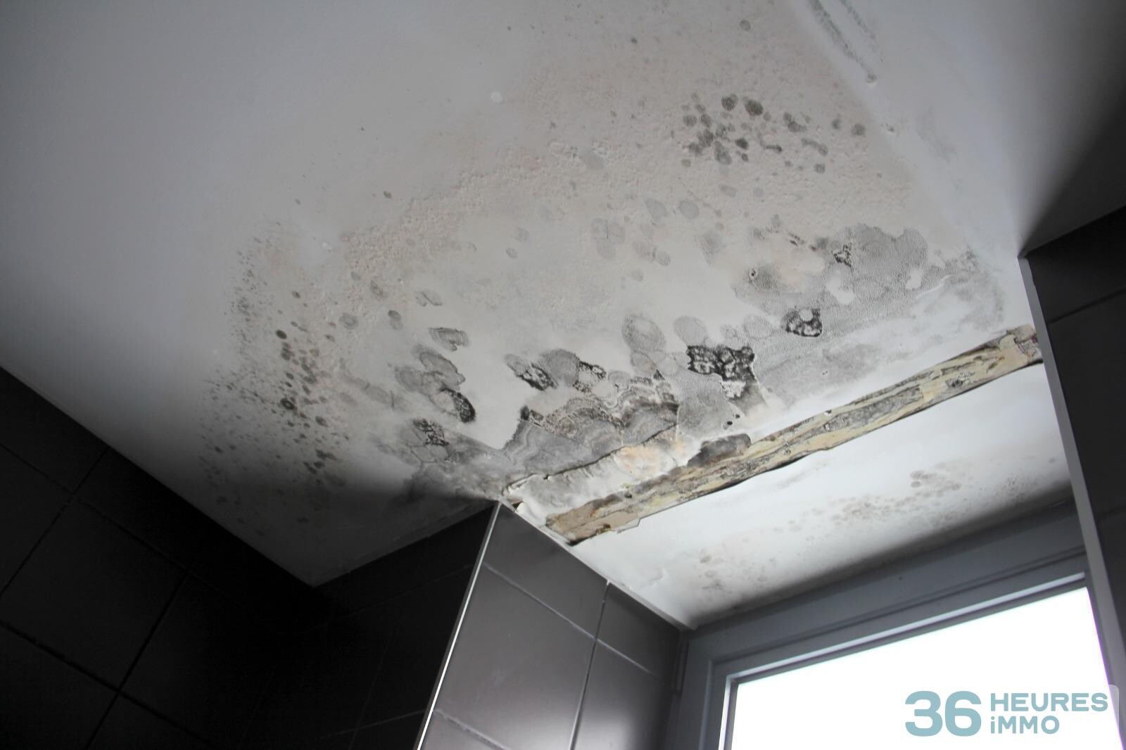 Maison quartier Thabor 