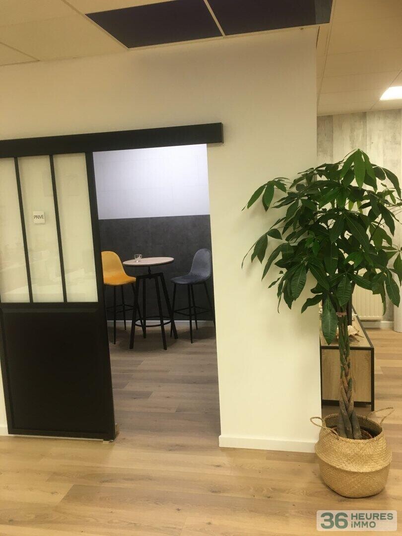 local commercial plus terrain constructible