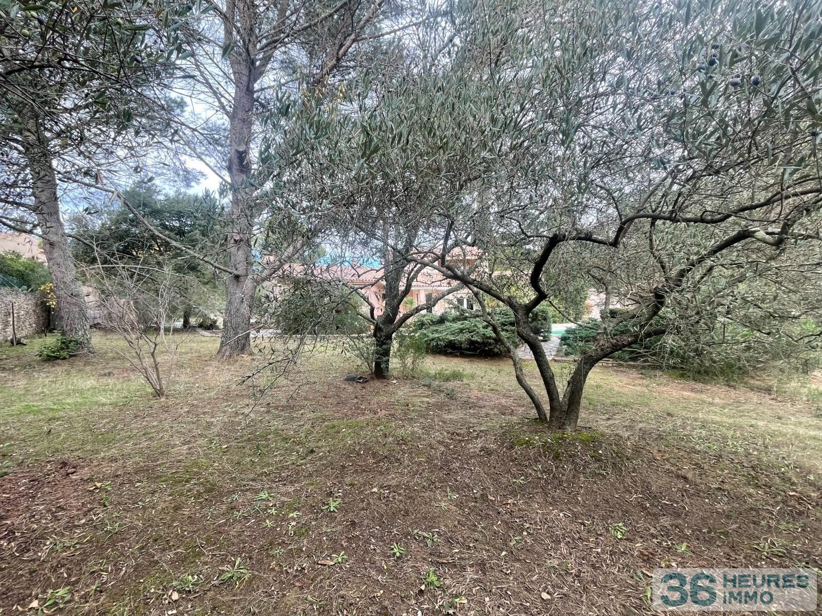 VILLA 6 PIECES DE 176 M2 ENV SUR 3040 M2 TERRAIN PISCINE