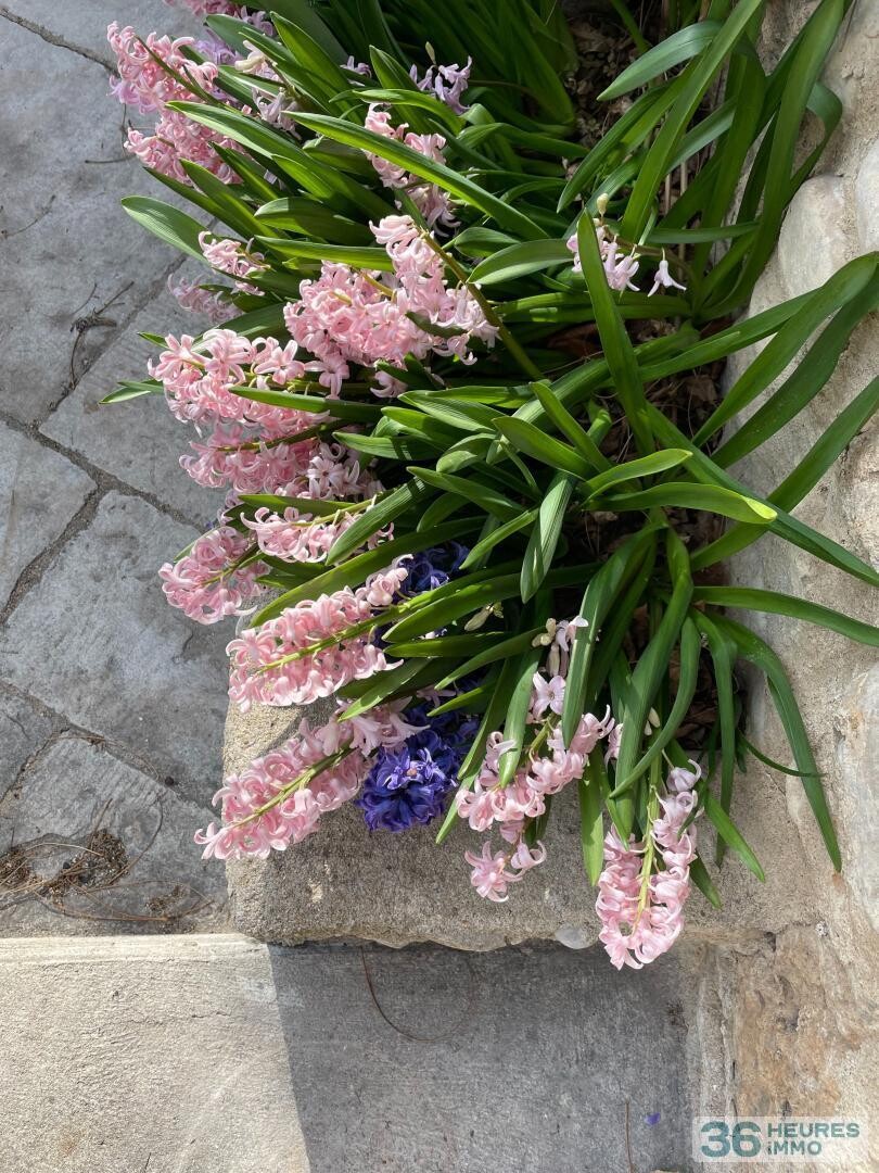 DOMAINE HOTEL RESTAURANT DROME