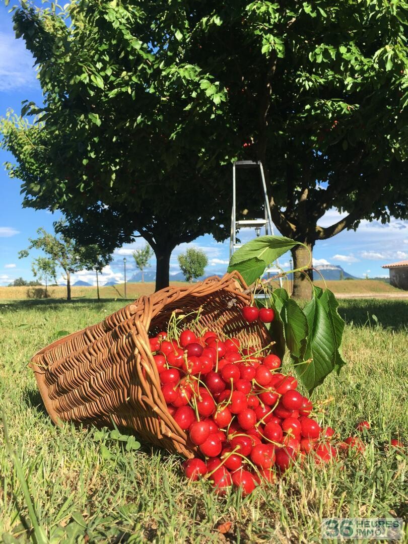 DOMAINE HOTEL RESTAURANT DROME