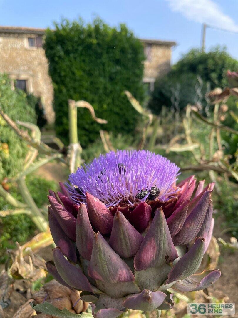 DOMAINE HOTEL RESTAURANT DROME