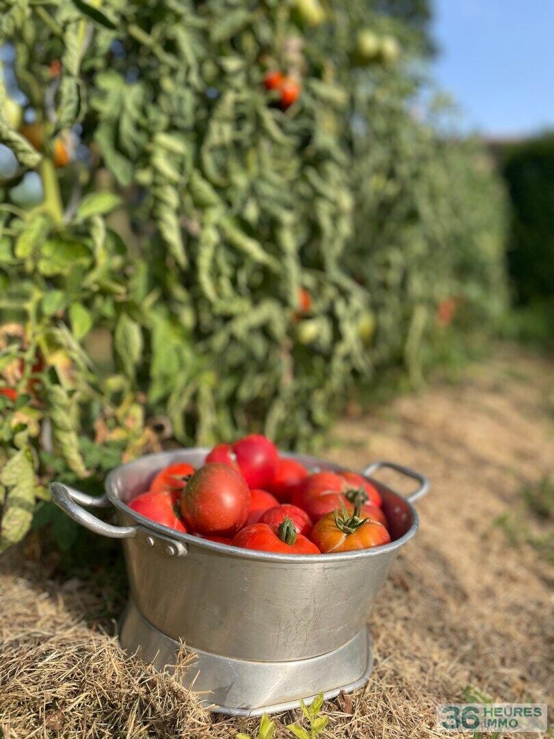 DOMAINE HOTEL RESTAURANT DROME