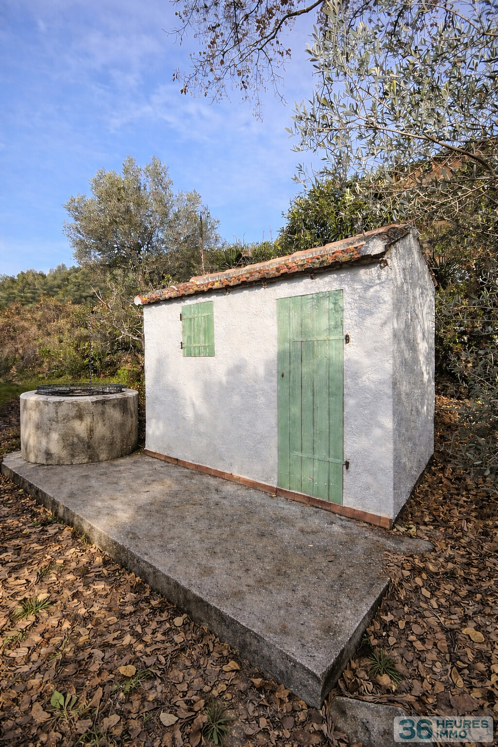 Oliveraie de caractère - 1 hectare - Zone AOP Bandol - Le Castellet