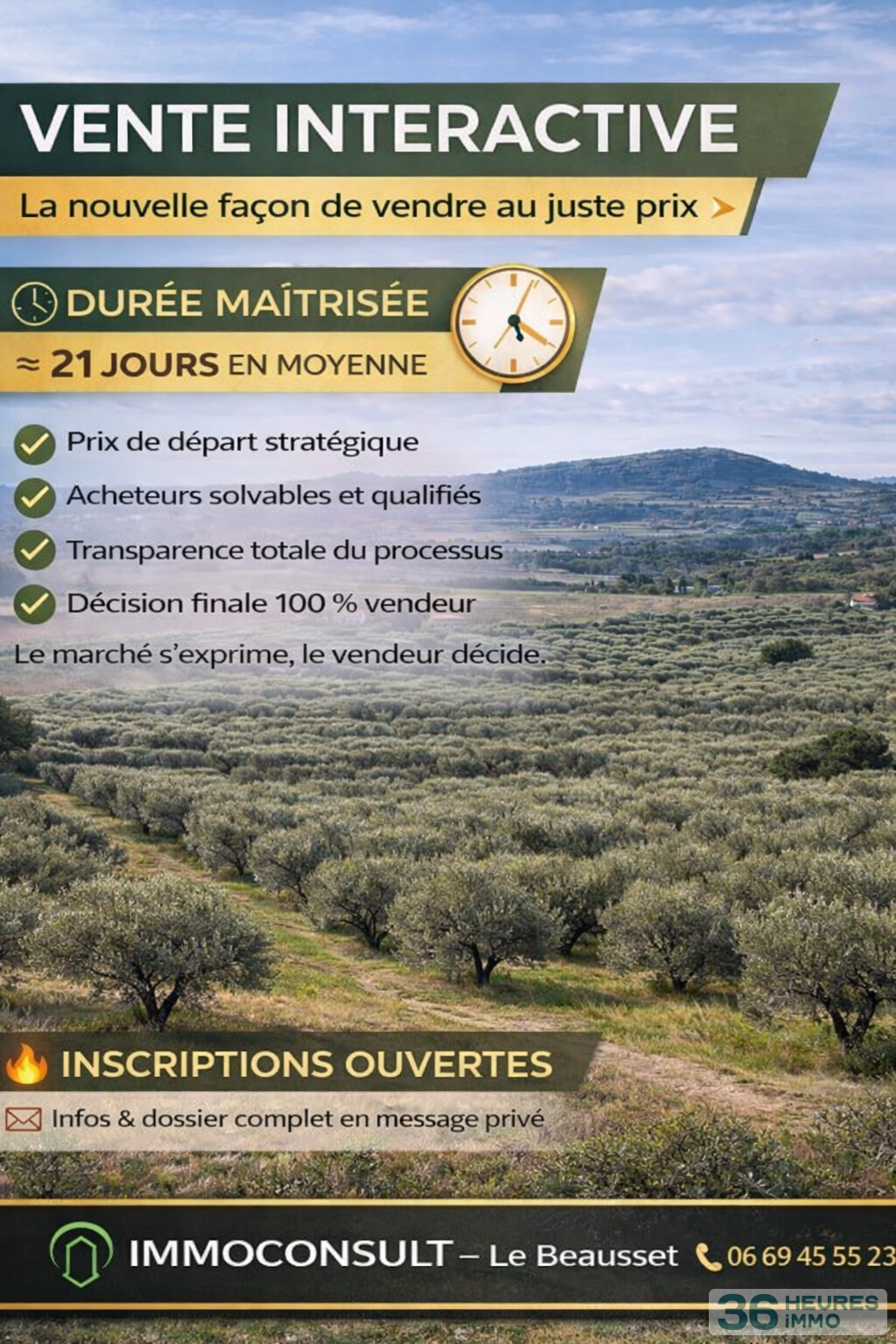 Oliveraie de caractère - 1 hectare - Zone AOP Bandol - Le Castellet