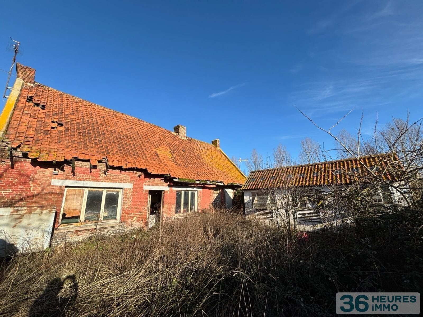 Maison à vendre + HANGAR