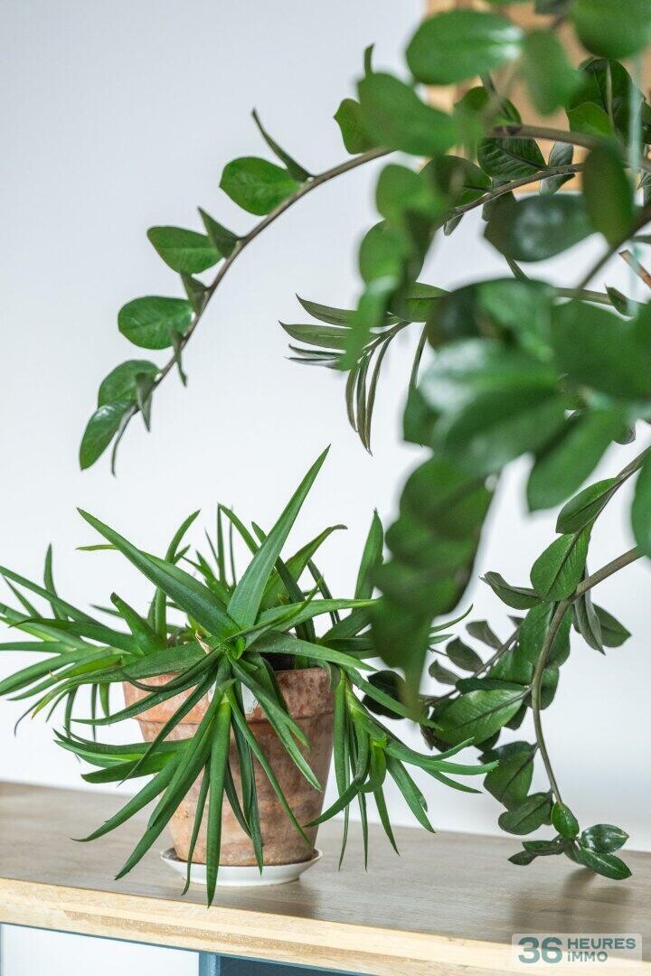 Magnifique Appartement RENOVE de 110 m²