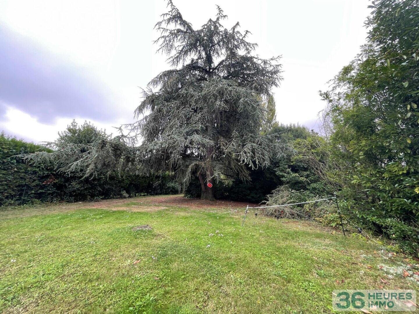 Maison avec grand terrain