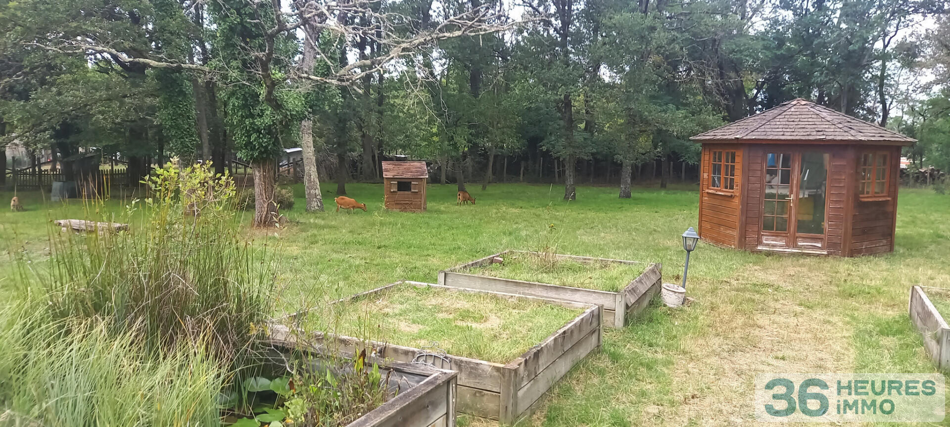 A VENDRE CHAMPAGNE MAISON DE CARACTERE 5 CHAMBRES